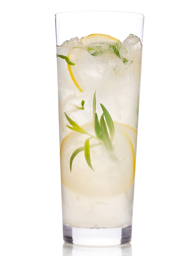 sparkling-tarragon-gin-lemonade-sodastream