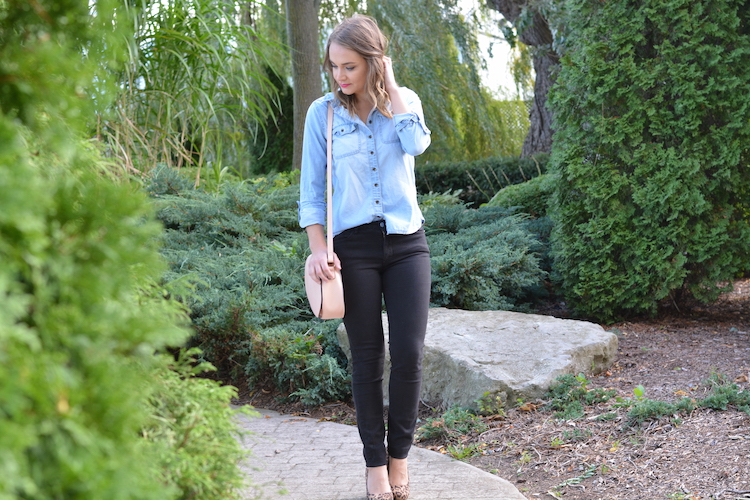 Chambray and Leopard 