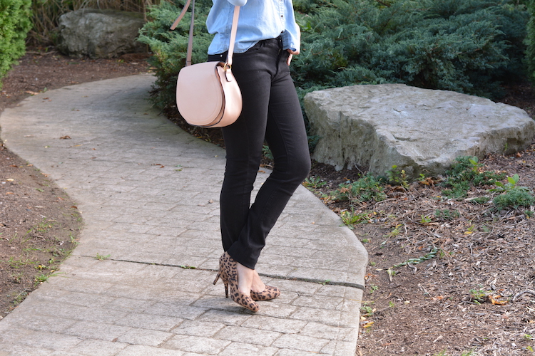 Chambray and Leopard 
