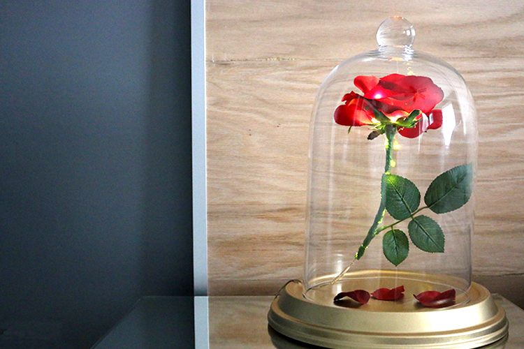 DIY Beauty and the Beast Enchanted Rose