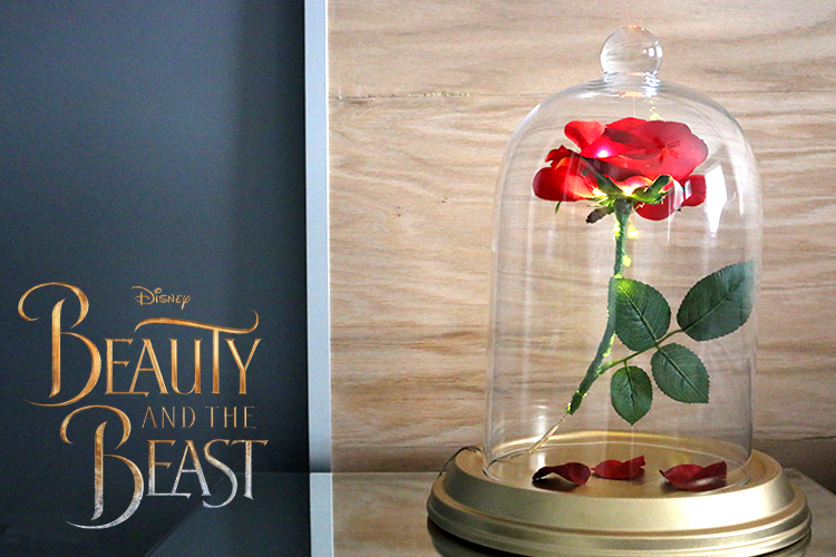 DIY Beauty and the Beast Enchanted Rose 