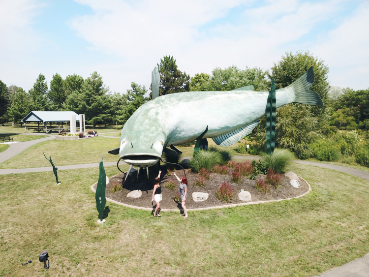 dunnville ontario catfish