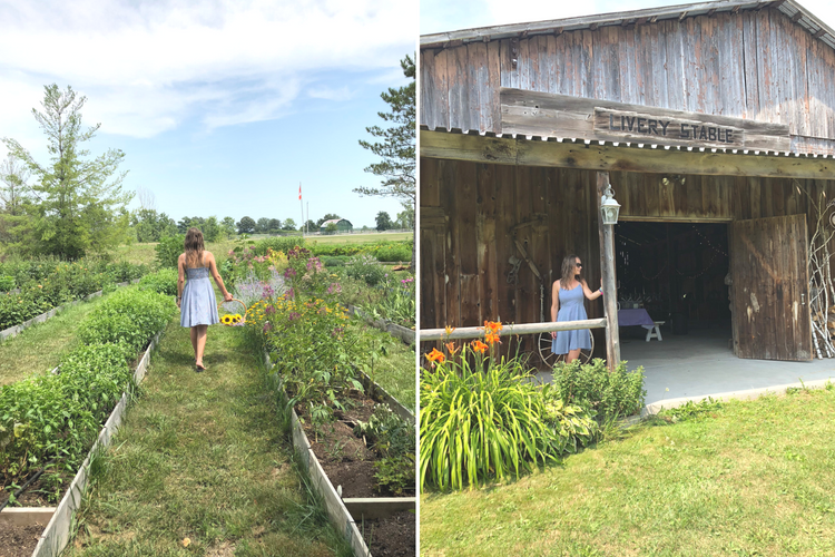 Windecker Woods Flower Farm