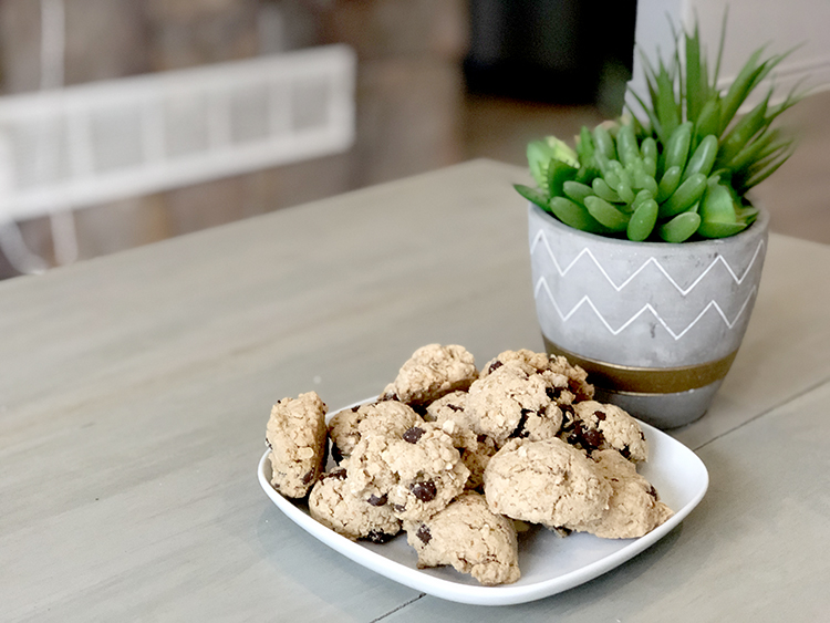 diy lactation cookies